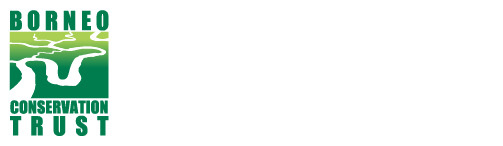The Borneo Conservation Trust, recognized by the government of Sabah, Malaysia, is engaged in activities to conserve the biodiversity of Borneo and restoring its main habitat of wildlife, the Green Corridor.